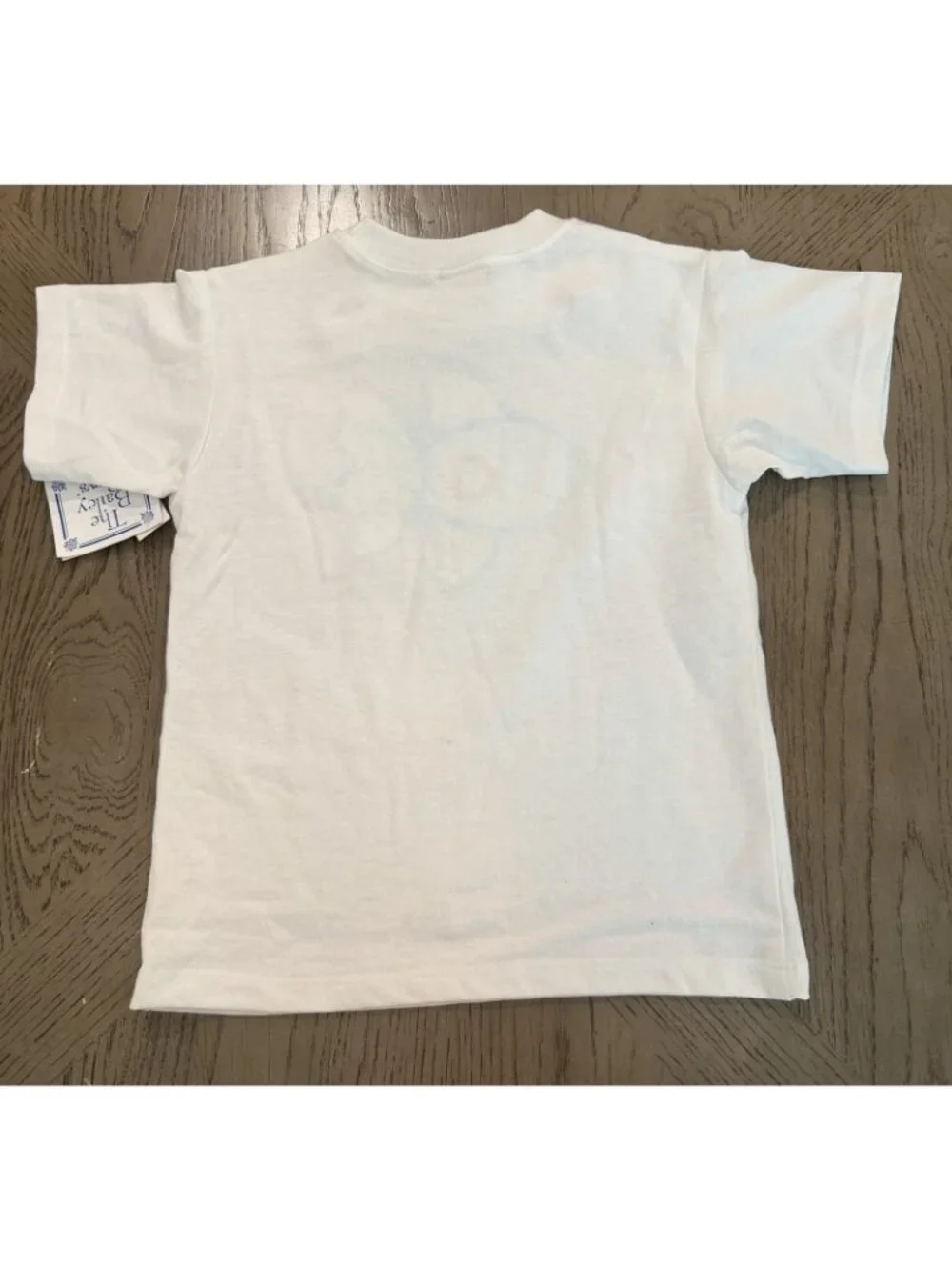 The Bailey Boys Size 5 Fish Applique T-Shirt & Orange Gingham Shorts Set